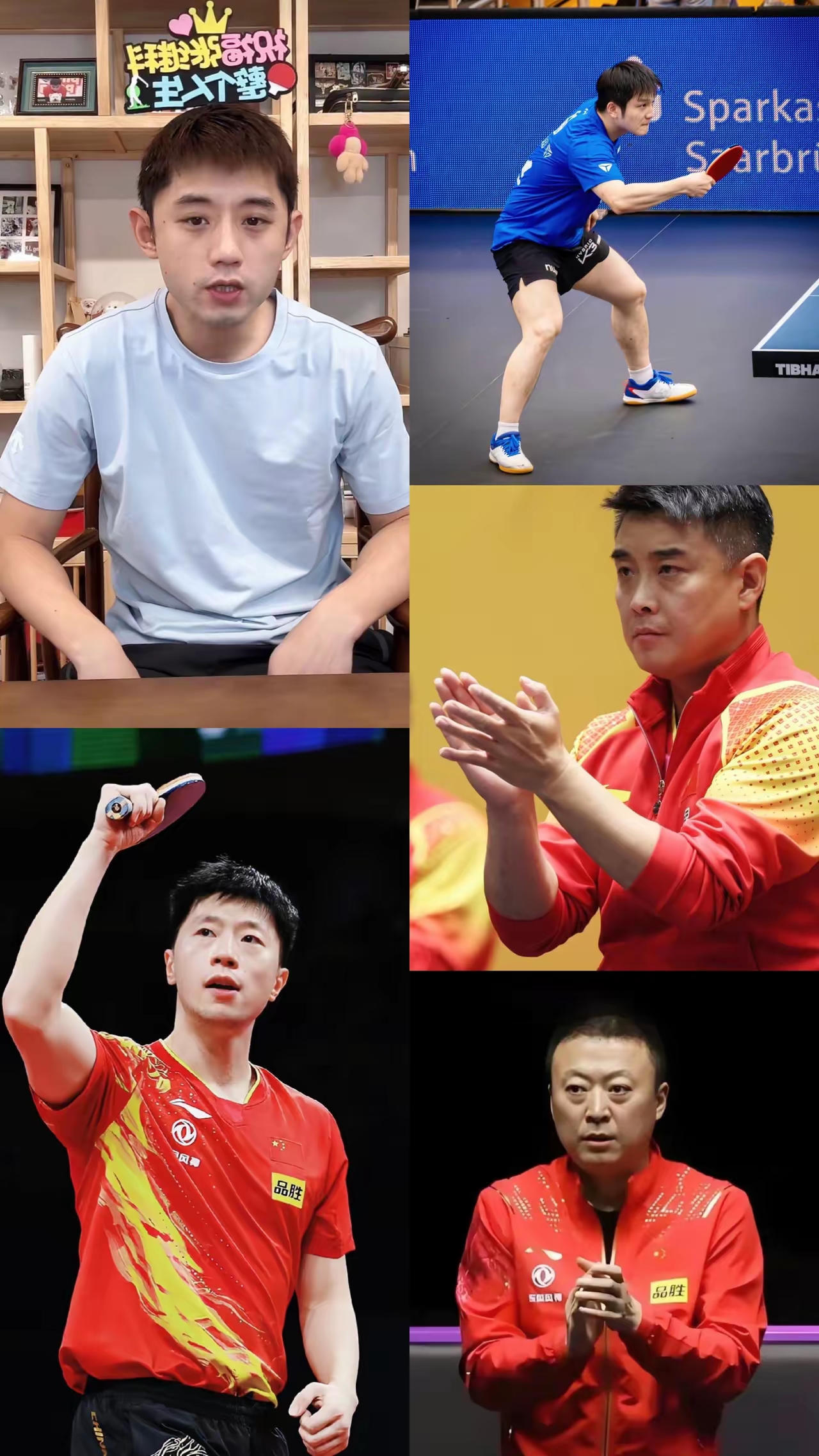 中国队完胜德国队，张继科刷新纪录