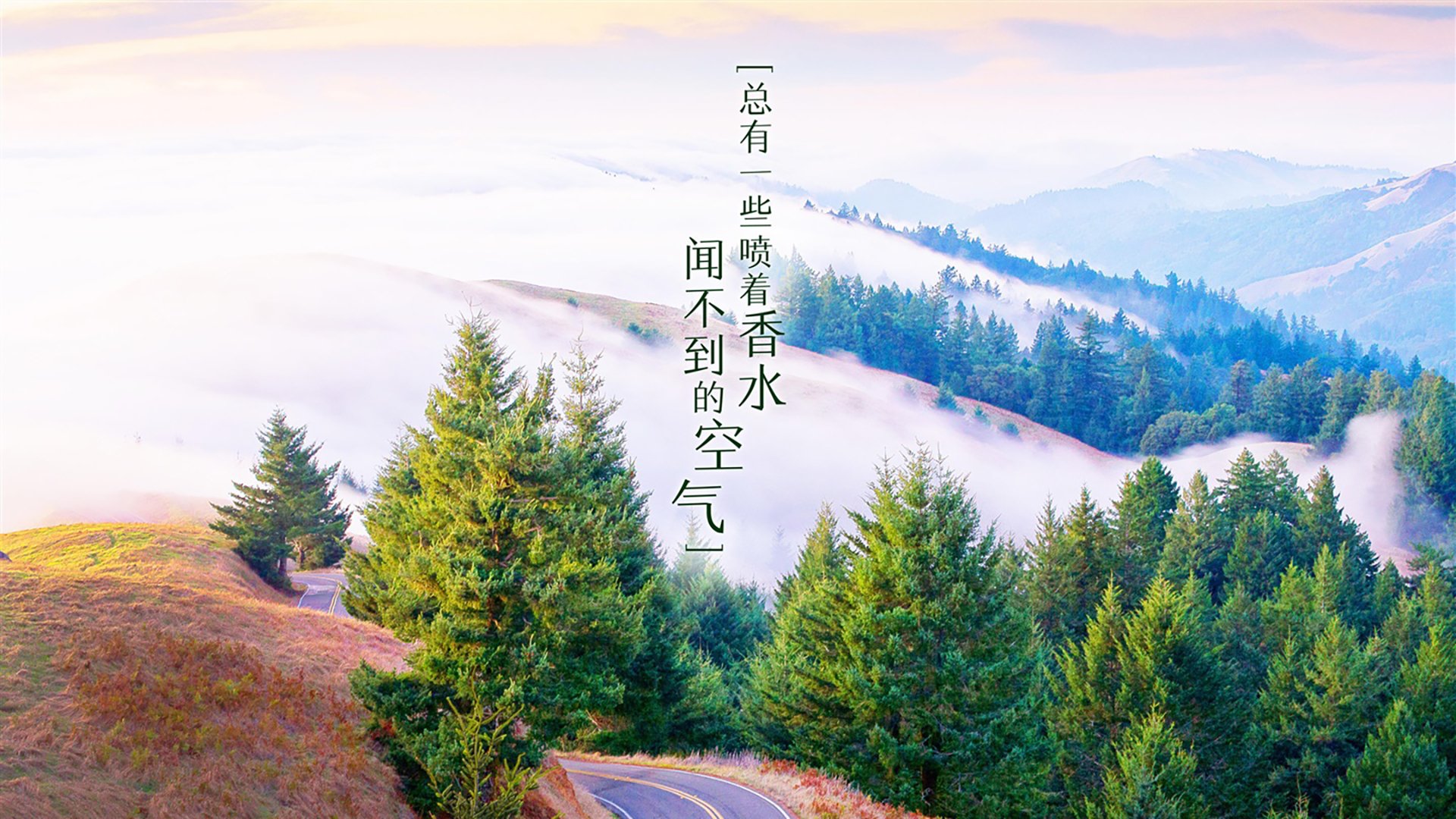 跨界掌控力，从玻利维亚绿茵到NBA硬木，罗德里式的关键战接管哲学