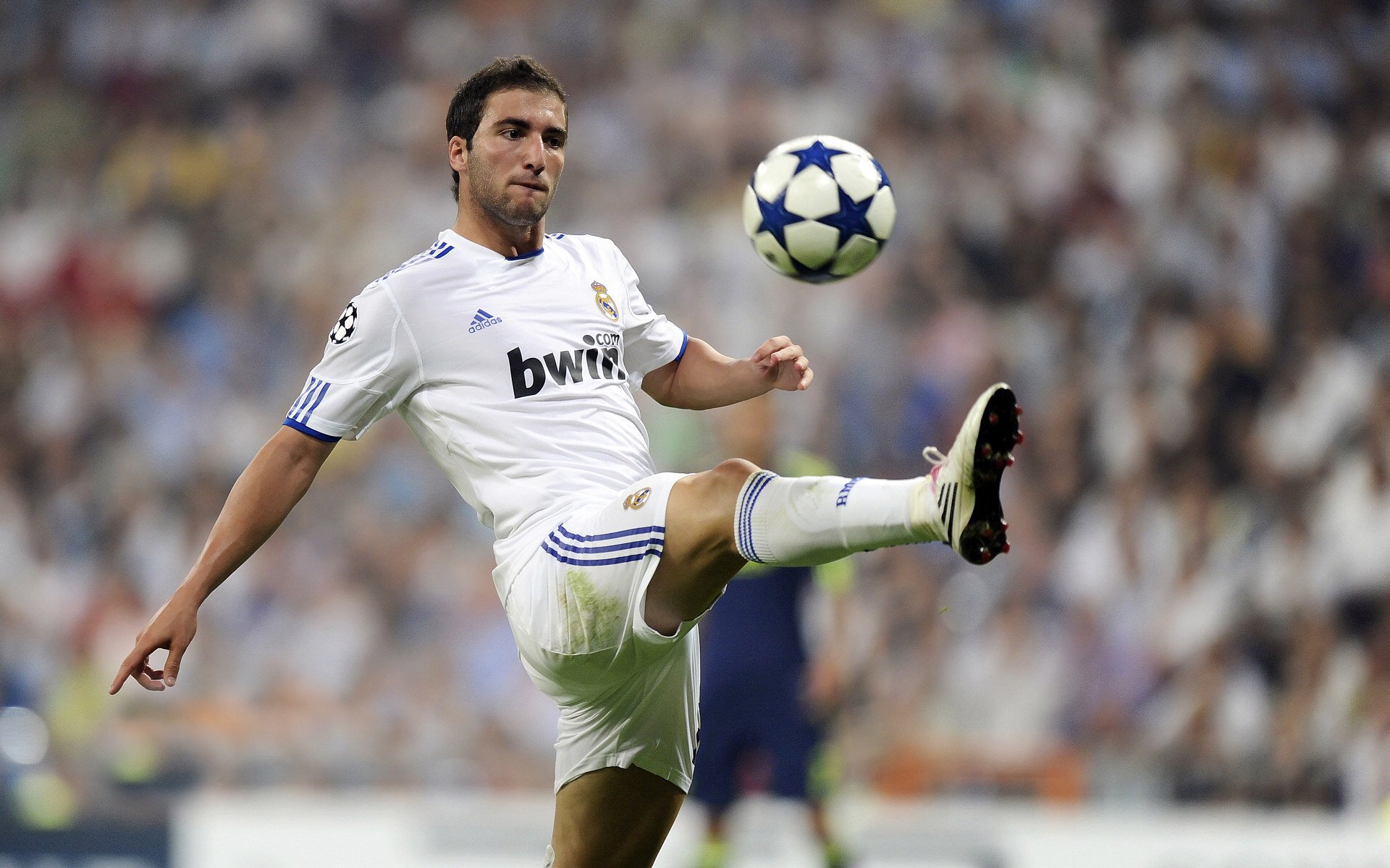 北欧风暴席卷郁金香，瑞典狂胜背后，若日尼奥的硬仗之王启示录