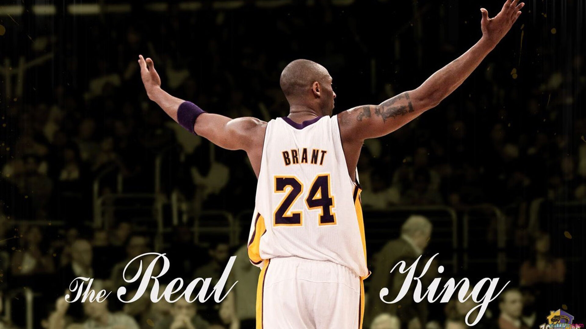 太阳提前终结悬念,F1新赛季揭幕战焦点战快船